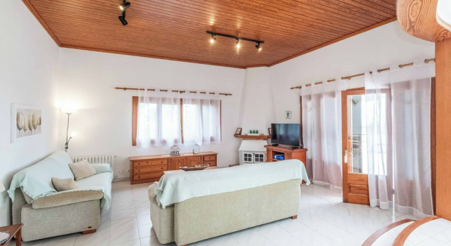 Villa Delfin