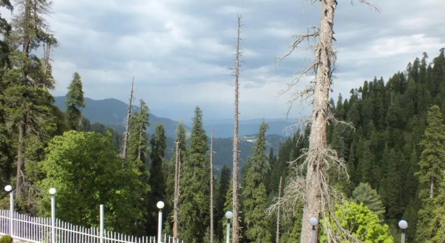 Полулюкс Humming Bird Resort and Executive Suites