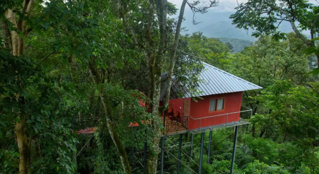 Двухместный коттедж Dream Catcher Plantation Resort