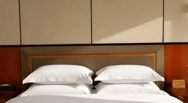 Люкс Beijing Scitech Hotel