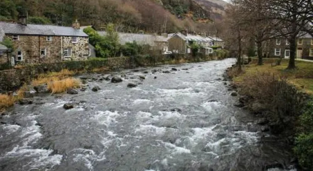 Bryn Dinas Camping Pods Ltd., Book Campingplads Camping og glamping i Snowdonia, Campingplads
