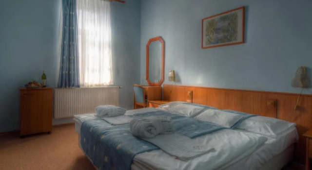 Двухместный номер Standard Erzsébet Park Hotel