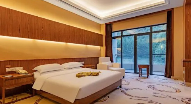 Suite doppia Executive Shennong Hotel
