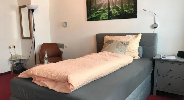 Номер Standard Hotel Zartenbach