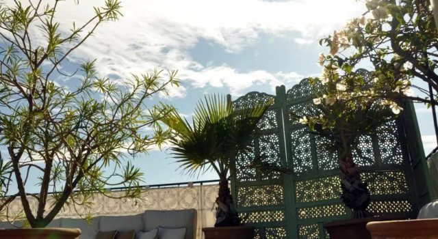 Riad 41
