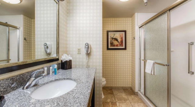 Двухместный номер Standard Hampton Inn & Suites Detroit/Airport Romulus
