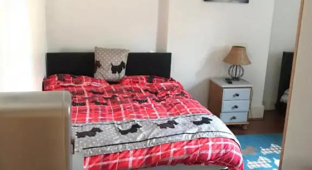 Номер Standard Scotty dog room 2