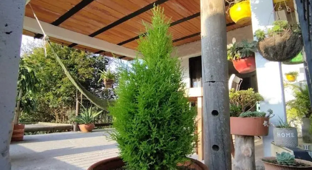 Finca Hotel Zona 7, Book Hotel SPA Hotels in Rionegro, SPA