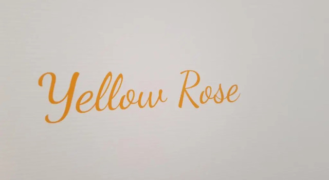 Двухместный номер Standard Little Rose guest house