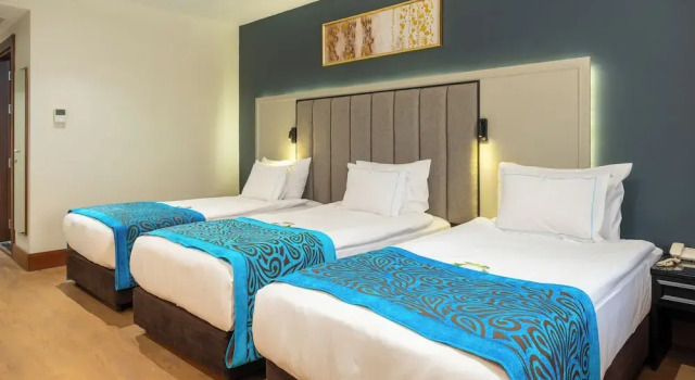 Трёхместный номер Deluxe Отель Teymur Continental Hotel