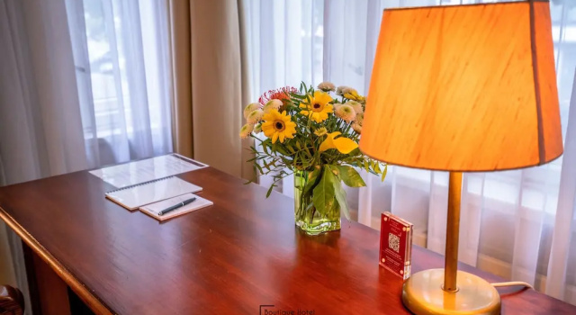 Двухместный номер Comfort с видом на город Boutique Hotel Kerlin