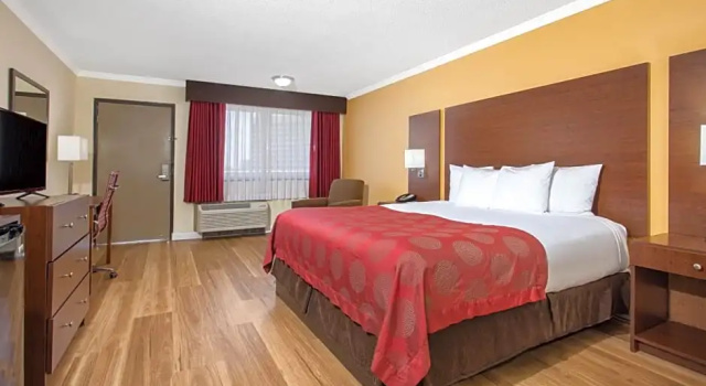 Двухместный номер Standard с видом на внутренний двор Ramada by Wyndham Tampa Westshore Airport South