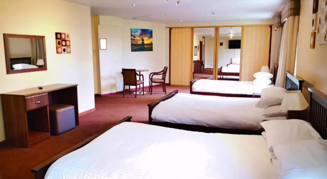Номер Deluxe King Robert Hotel
