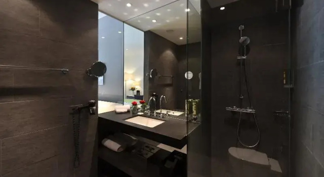 Двухместный номер Standard Hotel Vitznauerhof - Lifestyle Hideaway at Lake Lucerne