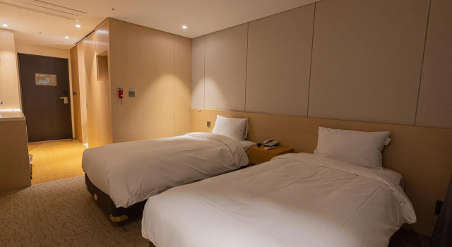 Двухместный номер Superior Hotel Zinc