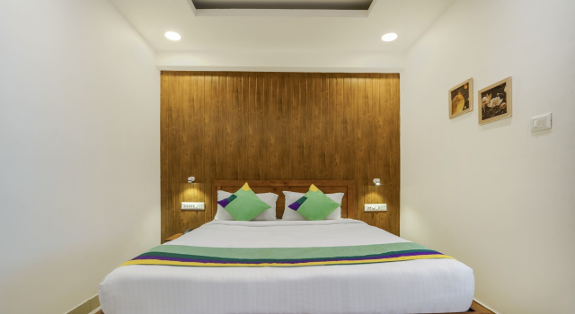 Номер Standard Treebo Park Palace