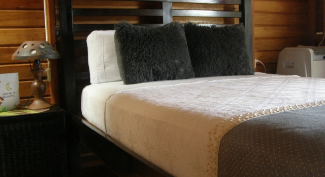 Номер Standard Hotel Luna Del Rio