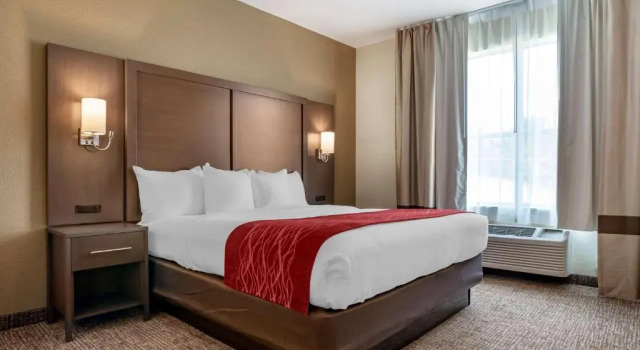 Люкс Comfort Inn & Suites Millbrook-Prattville