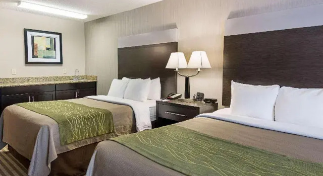 Люкс Standard Comfort Inn Camden