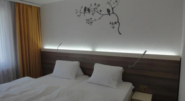 Номер Standard Hotel Schäfli Siebnen