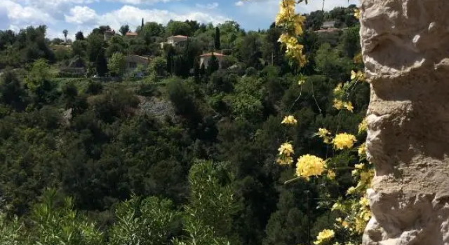 La vieille porte