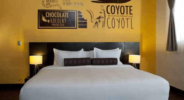 Одноместный полулюкс Hotel Pila Seca 11