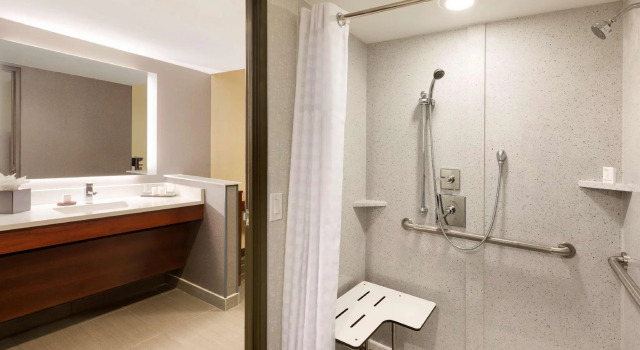 Двухместный номер Premium Embassy Suites by Hilton Atlanta Airport