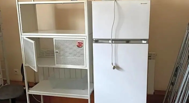 Amidi Hostel Piaseczno