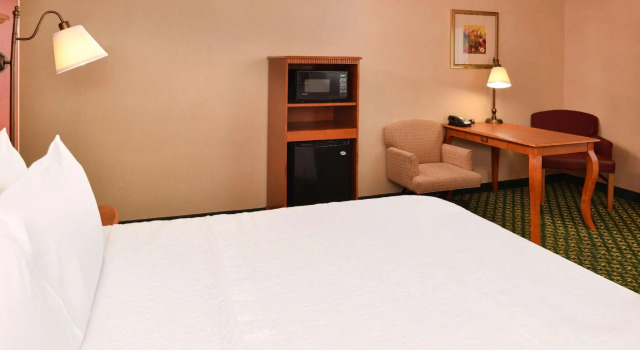Двухместный номер Standard Newly Renovated-Hampton Inn & Suites Casper