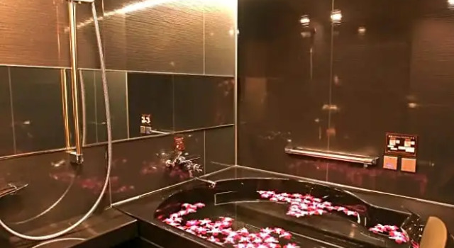 Номер Standard Hotel Balian Resort Higashi Shinjuku