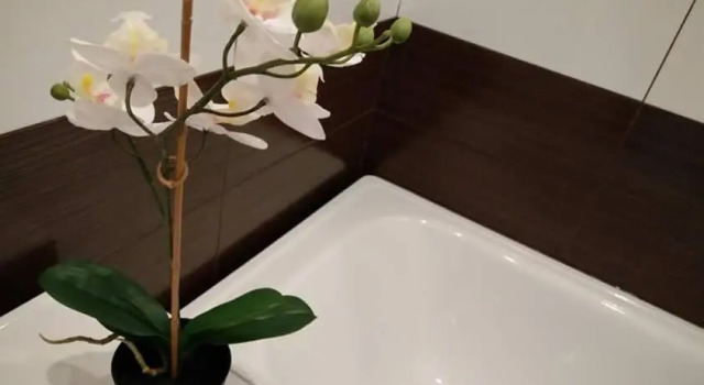 Luminous Apartment in Jurmala, Prenota Appartamento Hotel economici a Pieriga