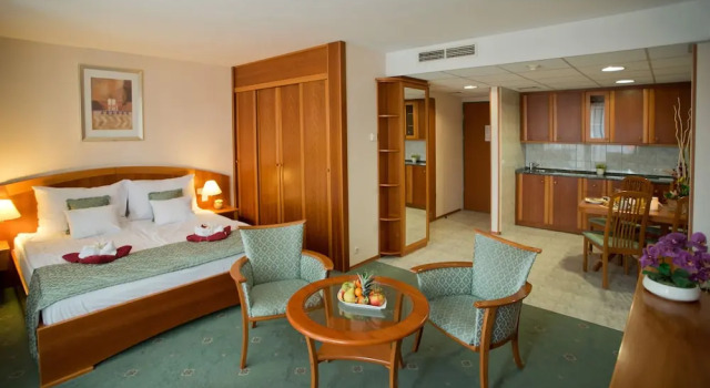 Двухместный номер Standard с балконом Palace Hotel Hévíz