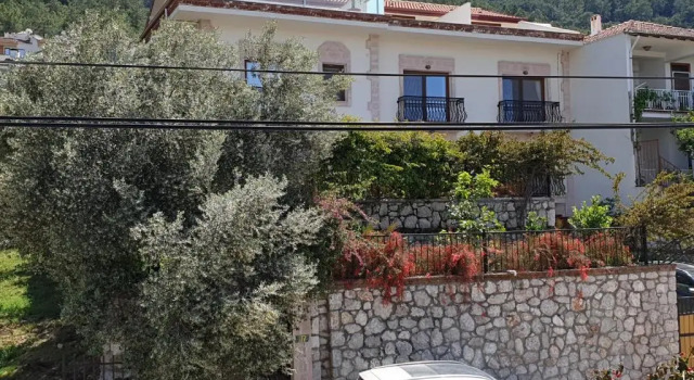 Апартаменты Olive apartments studio