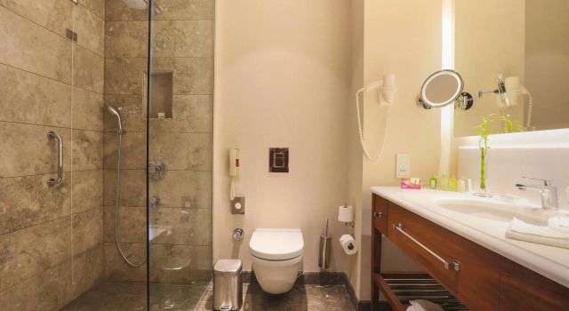 Двухместный номер Standard Crowne Plaza Istanbul Oryapark by IHG