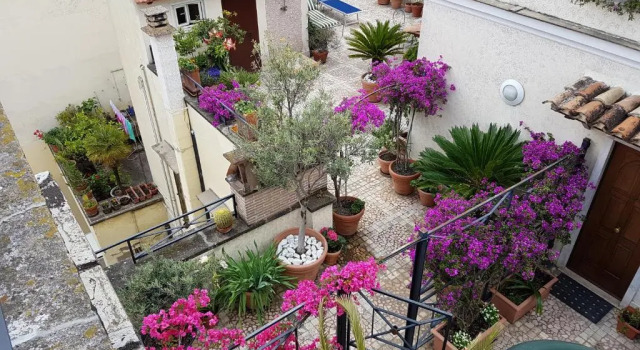 Penthouse Suite Hotel Celio
