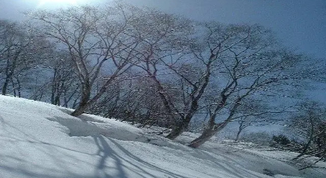 Ibex Lodge, Prenota Hotel Minami-Uonuma 