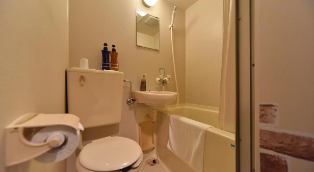 Одноместный номер Standard Hotel Nomad Hitachi