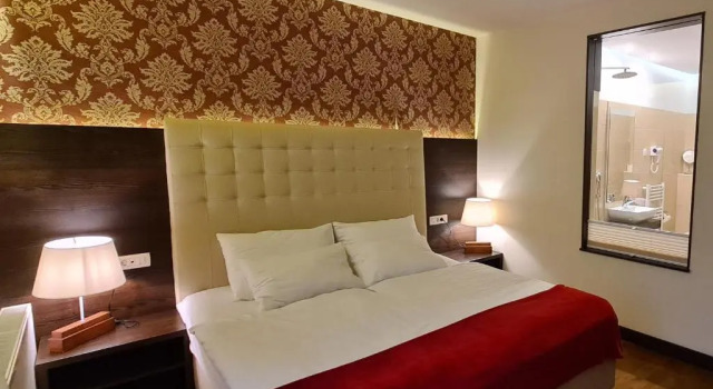 Номер Standard Aparthotel Gaja