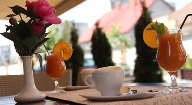 Ferdinand, Book Hotel Mukachevo Transcarpathia