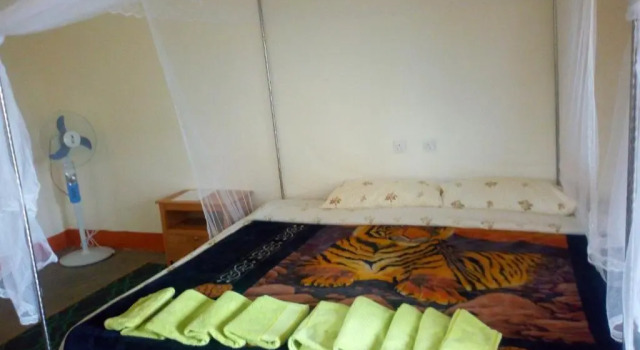 The Elephant home