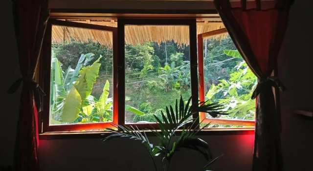 Семейный номер Standard Blue Mango Rooms & Villas