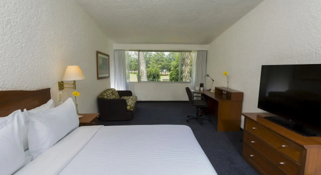 Superior Quadruple room Gamma Pachuca