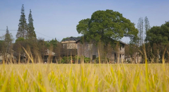 Wuzhen Wu Cun, Varaa Hotelli Hotellit Jiaxing pysäköinnillä, Pysäköinti