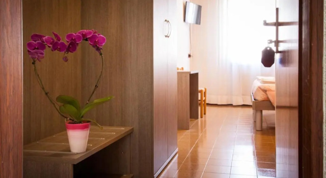 Трёхместный номер Standard Hotel STELLA DORO