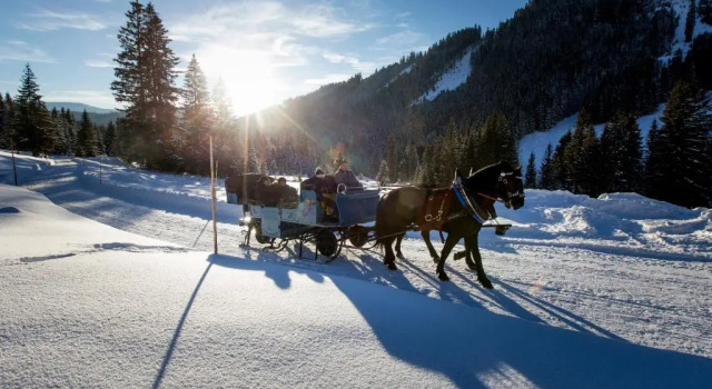 Hotel Neubergerhof, Rezervovat Hotel Filzmoos Dachstein