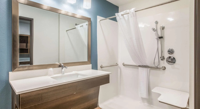 Двухместный номер Standard WoodSpring Suites Atlanta McDonough