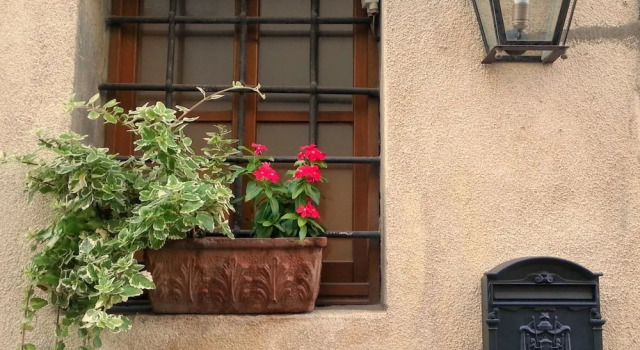 Antica Casa Naldi, Buchen Sie Hotel Montecarlo Toskana