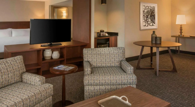 Полулюкс DoubleTree by Hilton Chicago Schaumburg