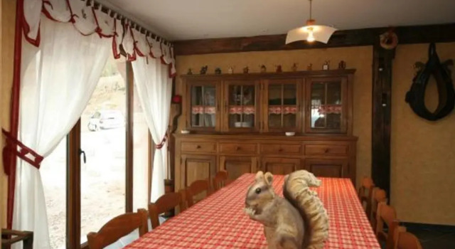 Ferme Vosgienne Rénovée avec Confort et Nature pour 7 Pers, WiFi, Animaux Bienvenus - FR-1-589-190, Забронировать Отель Отели Вогезы 4 звезды, 4*