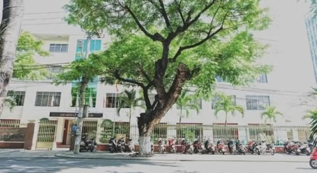 Zi Coffee & Hostel, Book Hostel / Vandrerhjem Hostels i Da Nang, Hostel / Vandrerhjem